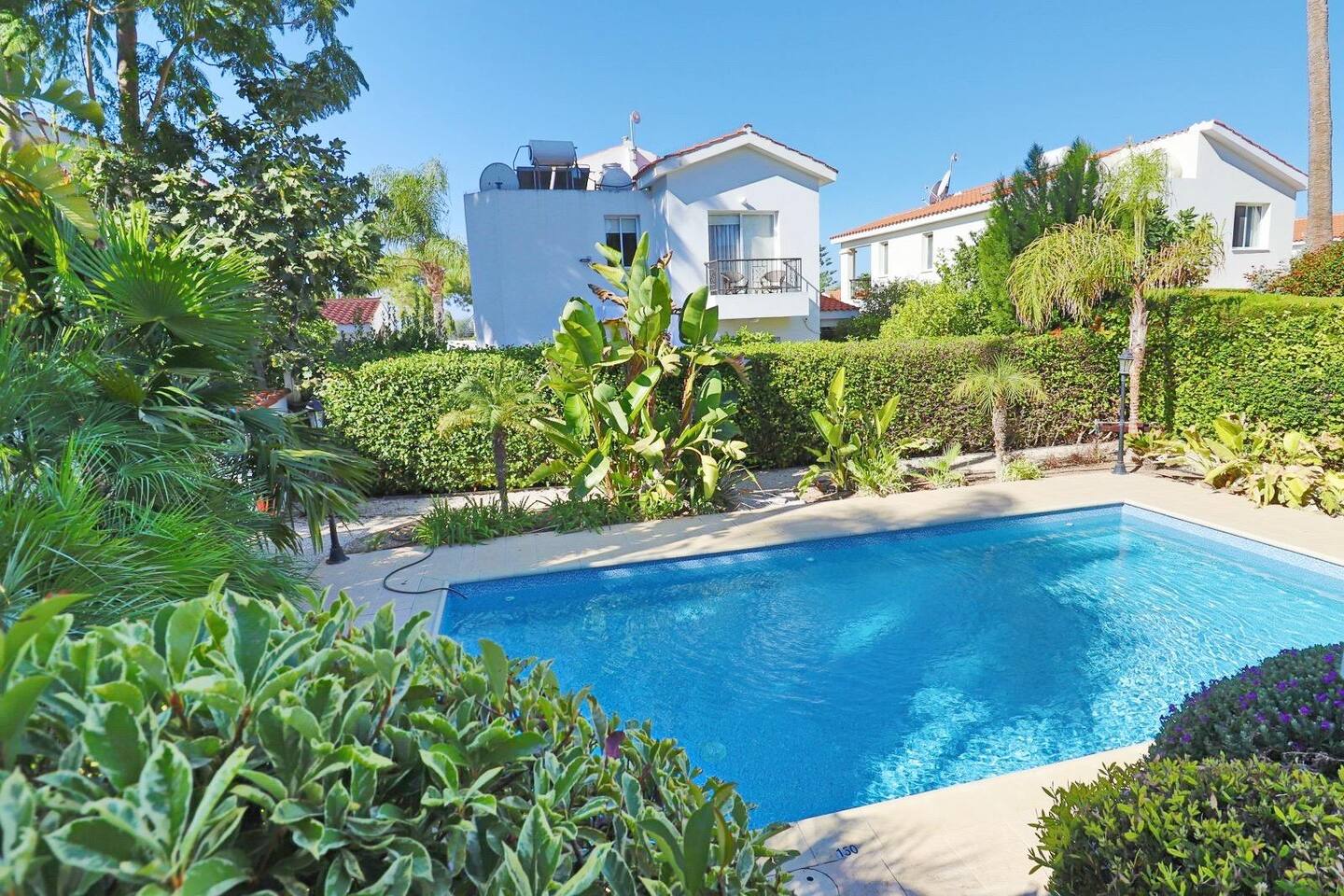 Tropical Pool Oasis • Walk to Coral Bay Beach, photo 7