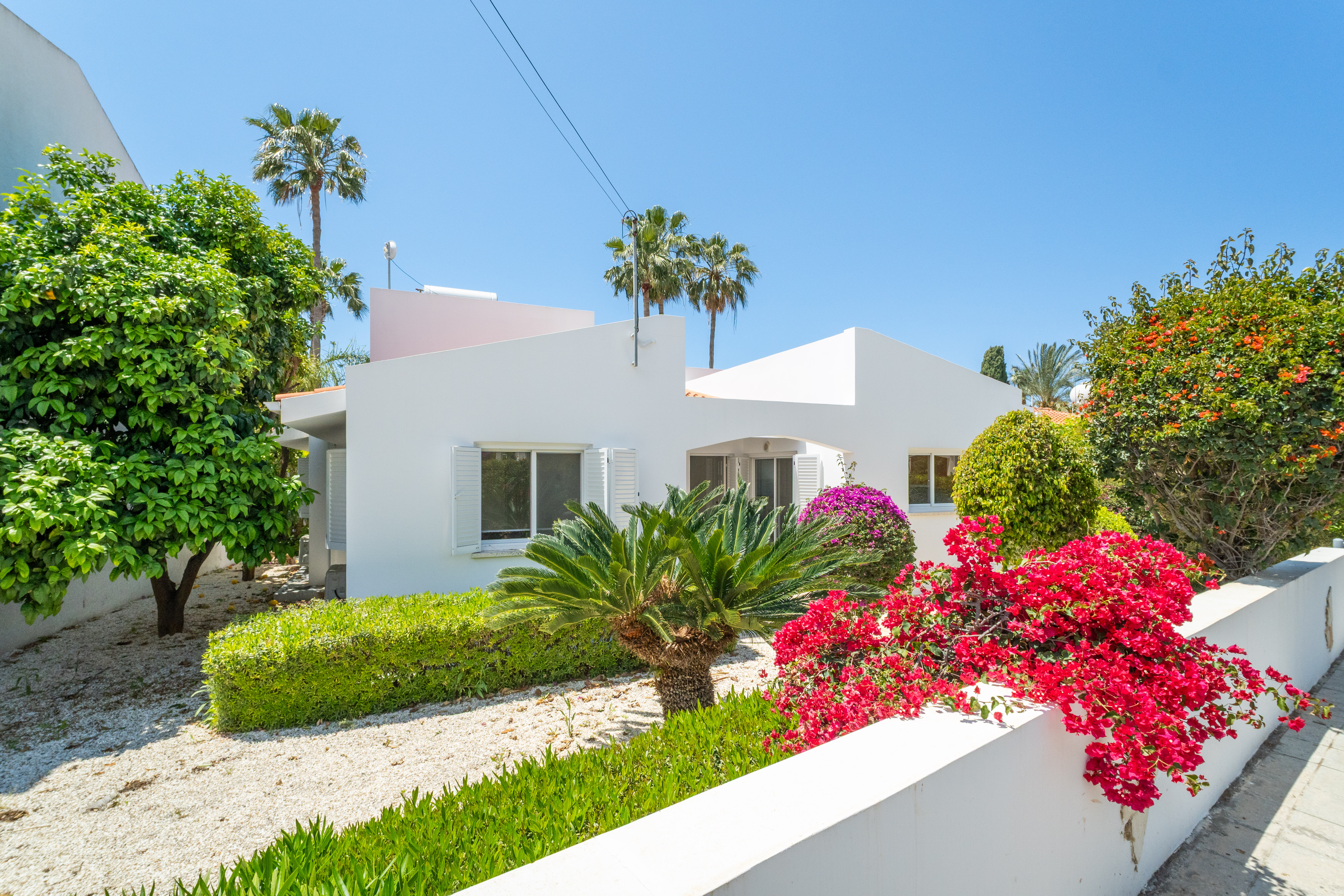Sunlit white villa framed by palms and vibrant bougainvillea gardens