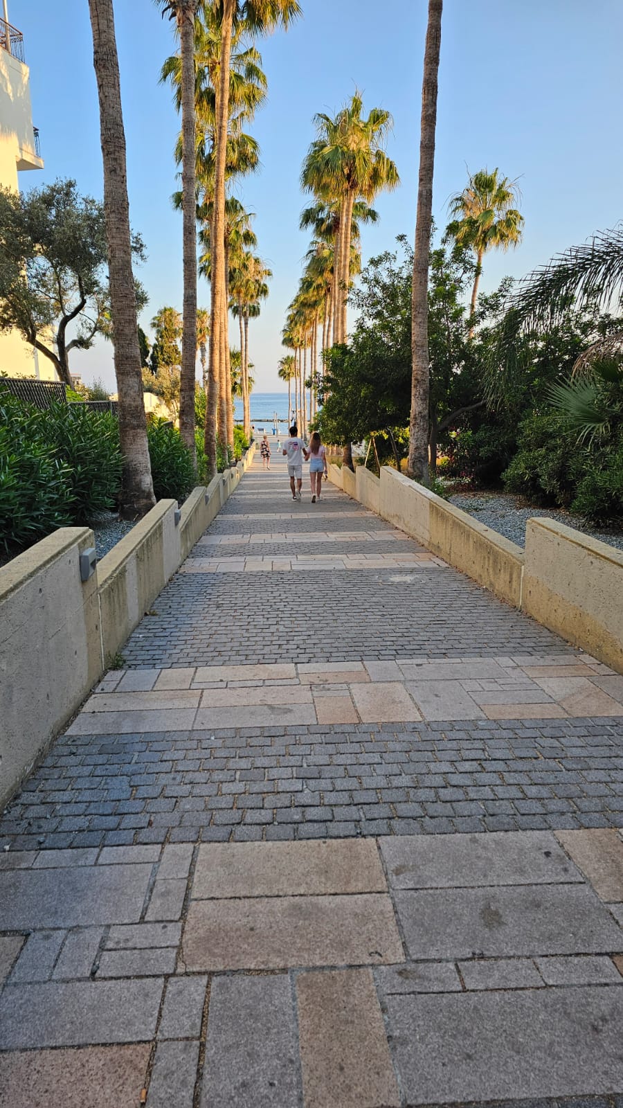 Palm-lined path to the beach, scenic stroll minutes from the door.