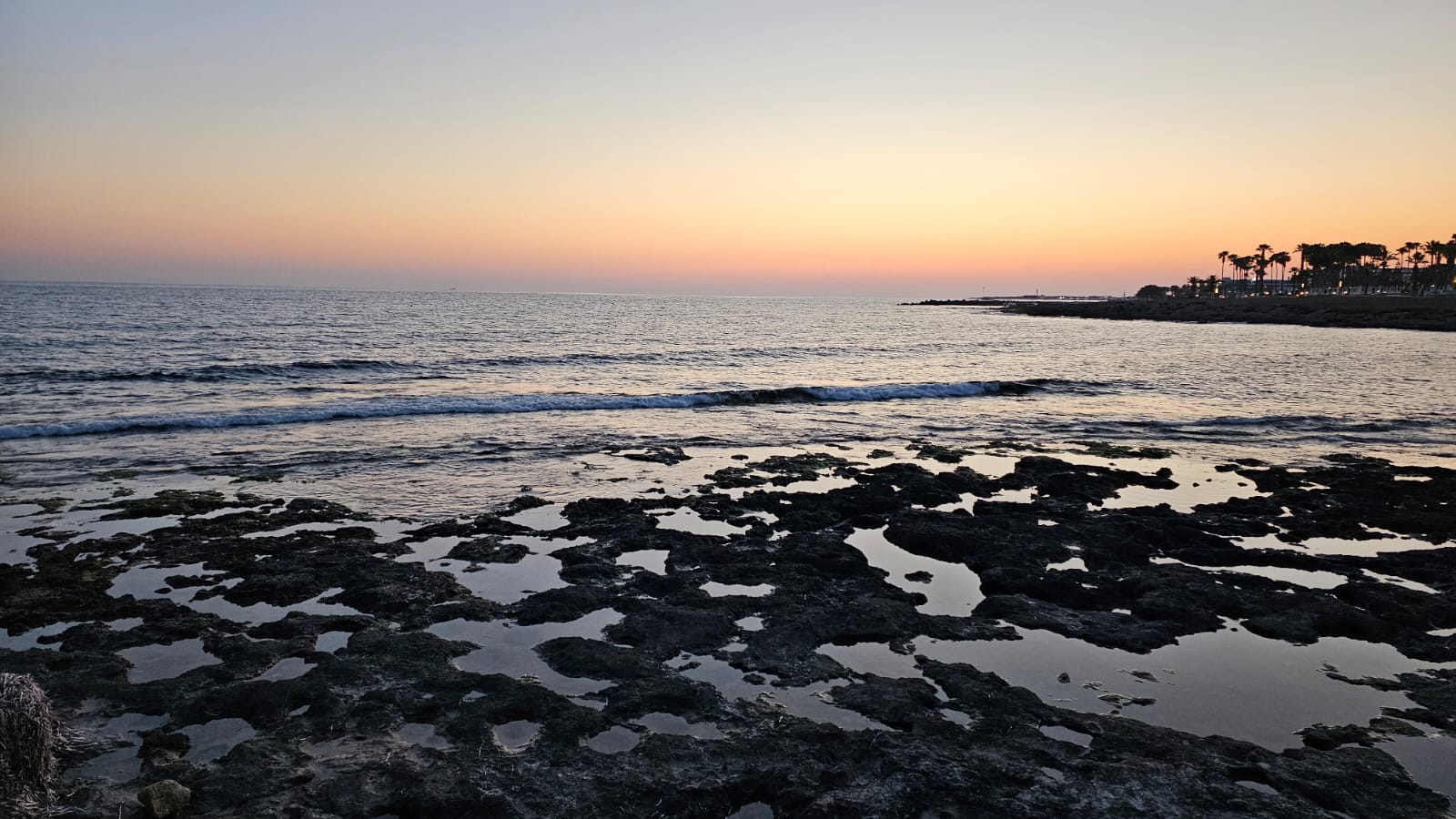 Sunset oceanfront views with tide pools and a palm-lined coast