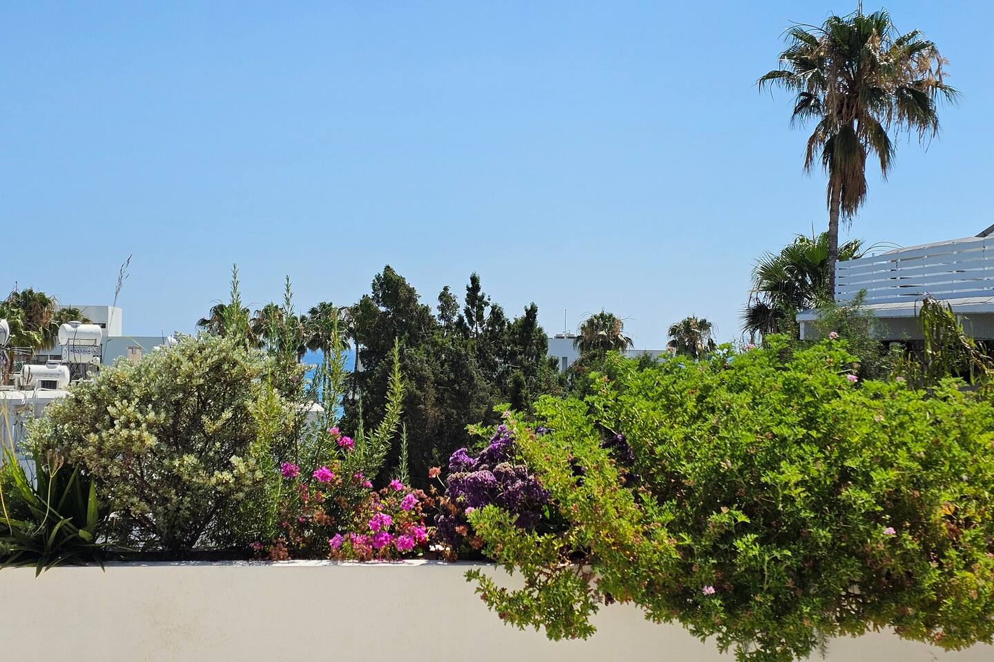 Harbour Central II · 1BR Rooftop Garden · Steps from Beach & Harbour, photo 14