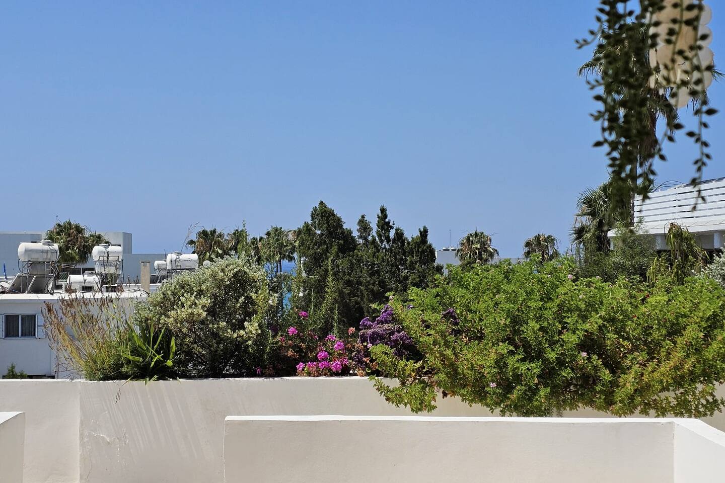 Harbour Central II · 1BR Rooftop Garden · Steps from Beach & Harbour, photo 15