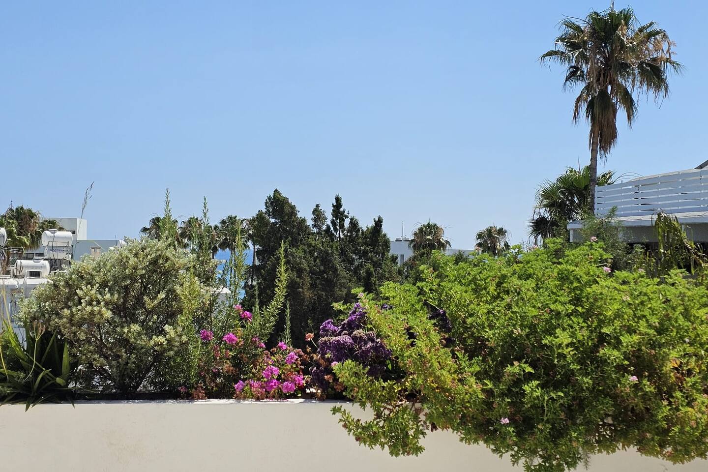 Harbour Central II · 1BR Rooftop Garden · Steps from Beach & Harbour, photo 16
