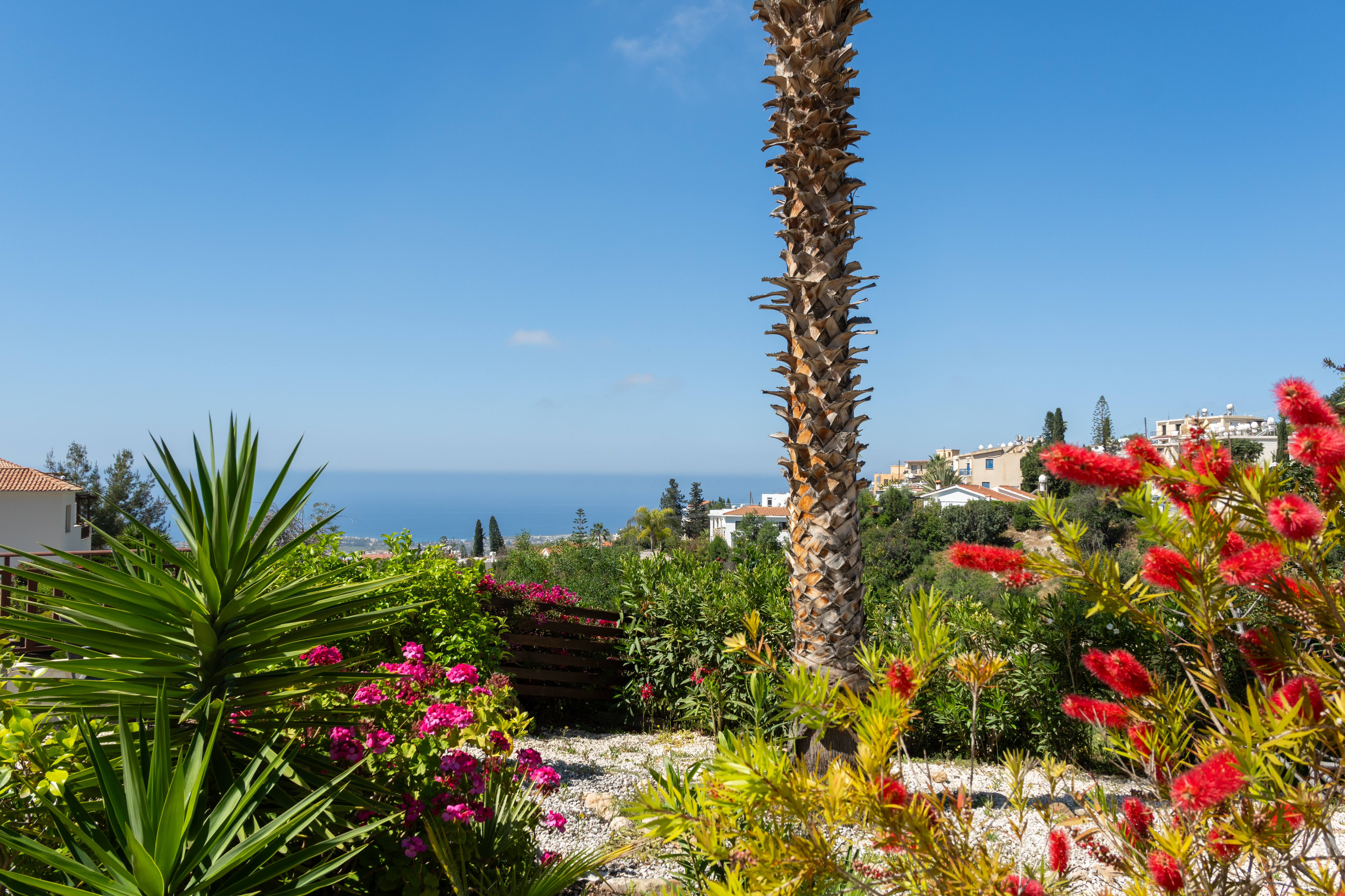 Sea-view Mediterranean garden with palms, blooms, and serene hillside